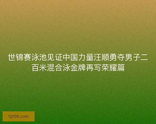 世锦赛泳池见证中国力量汪顺勇夺男子二百米混合泳金牌再写荣耀篇